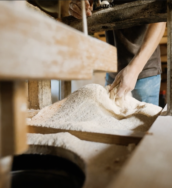 Farine fraîchement moulue à la meunerie artisanale