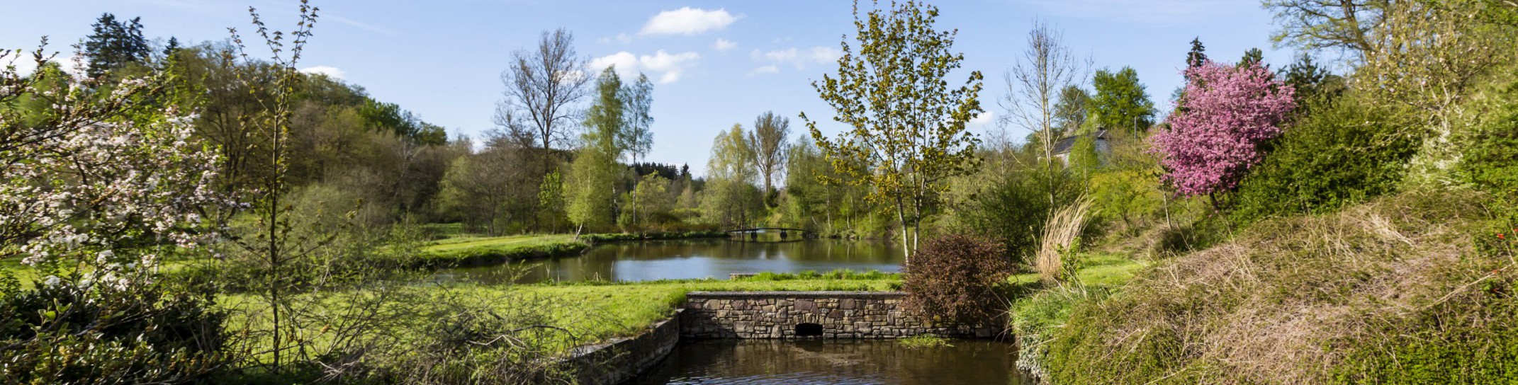 La vallée de la Strange, écrin de nature autour du moulin